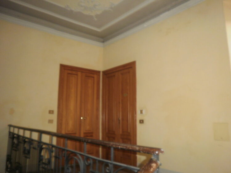 PA160114 (FILEminimizer) 1785165282 gallery 750x563